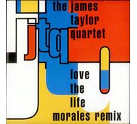 Love The Life Remix - James Taylor Quartet 7" 45