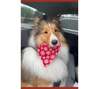 Love, Wally: A Sheltie's Journal