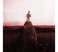 Mount Kimbie – Love What Survives - Remixes Part 1 – Vinyl 12" Single (US Import)