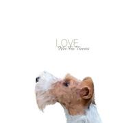 LOVE Wire Fox Terriers. The Perfect Wire Fox Terrier gift for any Wire Fox Terrier owner or Lover.: Wire Fox Terrier Journal, Lined, 120 Pages. Featuring hand-drawn Wire Fox Terrier.