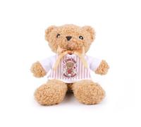 Love You Beary Much Teddy Bear - Plush Valentines Teddy Gift with T-Shirt