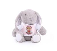 Love You Beary Much Teddy Bunny - Plush Valentines Teddy Gift with T-Shirt