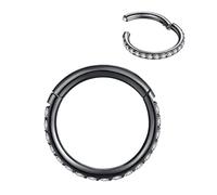 LOVEBODYJEWELRY 316L Surgical Steel Seamless Nose Ring Cartilage Hoop Silver/Gold/Rose Gold/Black 16G 18G 20G 6mm-12mm CZ Paved Helix Rook Tragus Lobe Body Pierecing Jewelry Segment Clicker Lip Rings