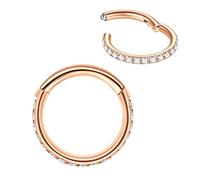 LOVEBODYJEWELRY 316L Surgical Steel Seamless Nose Ring Cartilage Hoop Silver/Gold/Rose Gold/Black 16G 18G 20G 6mm-12mm CZ Paved Helix Rook Tragus Lobe Body Pierecing Jewelry Segment Clicker Lip Rings