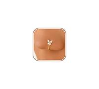 LOVECOM 14k Gold Plated Butterfly Crystal Nose Rings for Women Dainty 925 Sterling Silver Cubic Zirconia Fake Nose Ring No Piercing Needed Nose Cuff Hypoallergenic Jewelry Gifts for Mom Friends
