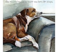 Loved Rescued Dog Little Dog Laughed Greeting Card Blank Inside Any Occasion SQD148