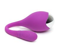 Lovehoney Egg Vibrator Purple Ignite 20 Function Adult Sex Toy Waterproof Rechargeable