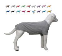 Lovelonglong Bulldog Clothes Dog Clothing Blank T-Shirt Tee Shirts for French Bulldog English Bulldog American Pit Bull Pugs 100% Cotton Skin Care Gray B-XL