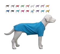 Lovelonglong Bulldog Clothes Dog Clothing Blank T-Shirt Tee Shirts for French Bulldog English Bulldog American Pit Bull Pugs 100% Cotton Skin Care Lake-blue B-XL