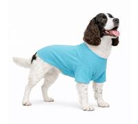 Lovelonglong Pet Clothing Dog Costumes Basic Blank T-Shirt Tee Shirts for Medium Dogs Turquoise XXL