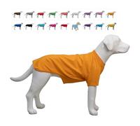 Lovelonglong Pet Clothing Dog Costumes Basic Blank T-Shirt Tee Shirts for Medium Small Dogs Orange XL