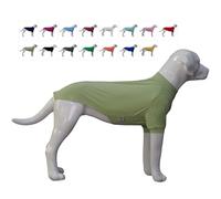 LoveLongLong Spring Summer Cooling Dog T-Shirt with UV Protection and Moisture-Wicking Fabric Blank Color Light green XS