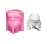 Lovely Animal Molds Castings Rabbits Silicone Plasters Ornament Epoxy Resin