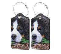 Lovely Bernese Mountain Dog,Luggage Tags Pu Leather Name Tag Travel Suitcase Identifier ID Tags Durable Luggage Label 2 pcs