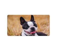 Lovely Boston Terrier Large Mouse Pad Office Desk Mat Waterproof Gaming Mousepad Non-Slip Desk Pad Protector for Mouse Writing Desktop Protector Mat with Stitched Edges Pads