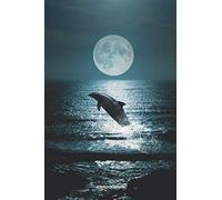 LOVELY DOLPHIN: Discreet Password Book With Alphabetical Order, 6x9" Internet Address & Password Keeper & Organizer Logbook To Remember Your Internet ... Password, Mobile Phone And Notes - 132 Pages