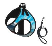 Lovely Dolphin Printed,Pet Harness,Adjustable Reflective Dog Harness,Pet Leash Vest,S