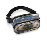 Lovely Hedgehog Fanny Pack Belt Bag with Adjustable Strap Fashion Waist Bag for Outdoor Sports Hiking, white, 20x13cm, Full Printed Waist Bag