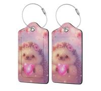 Lovely Hedgehog Holding Heart Luggage Tags with Stainless Loop Privacy Cover ID Funny Cute Unique Pattern 2 PCS