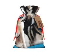 (Lovely husky) Print Christmas New Year Candy Gift Bag, Red Xmas Ribbon Drawstring Bags for Kids Xmas Holiday Eve Presents M Size