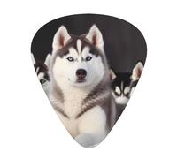 Lovely husky Print Guitar Picks 12-Pack - Assorted Thickness Picks (0.46mm, 0.71mm, 0.96mm) with Storage Box & Assorted Unique Design for Acoustic, Electric, Bass, and Ukulele Players