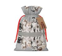 Lovely Husky Printed Drawstring Gift Bags,Various Sizes, Bulk Plastic Packaging Bags