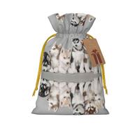 Lovely Husky Printed Drawstring Gift Bags,Various Sizes, Bulk Plastic Packaging Bags