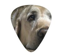 Lovely Labrador Dog,12 Pcs Guitar Pick,3 Different Thickness Plectrums for Acoustic Guitar Bass Ukulele (0.46mm 0.96mm 0.71mm)