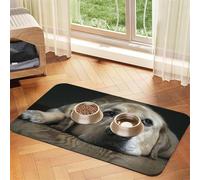 Lovely Labrador Dog,Waterproof Pet Feeding Mat,PU Leather Placemats for Cat Dog Water Bowl,Food Mats,40x60cm