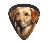 Lovely Labrador Guitar picks in thin, medium, and thick sizes, 12-piece set, suitable for electric guitar and various instruments
