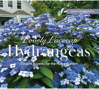 Lovely Lacecap Hydrangeas: Elegant Accents for the Home Garden