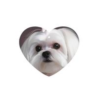 Lovely Maltese Dog Car Air Fresheners 6 Pcs, Funny Hanging Car Air Fresheners Cute Long Lasting Scented Mirror Hanging Decoration Ornaments Gift Interior Decor Accessories For Men Women