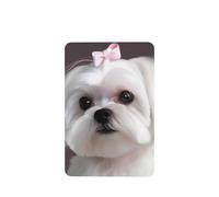 Lovely Maltese Dog Car Air Fresheners 6 Pcs, Funny Hanging Car Air Fresheners Cute Long Lasting Scented Mirror Hanging Decoration Ornaments Gift Interior Decor Accessories For Men Women