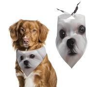 Lovely Maltese Dog Dog Bandana, Soft Breathable Pet Scarf, Personalized Dog Bib Kerchief for Small Medium Large Dogs Cats, Exquisite Pet Neckerchief for Daily Wear, Travel, Party