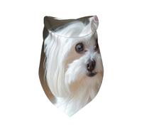 Lovely Maltese Dog Printed,Bib Scarf Triangle Hood Adjustable Pet Scarf Washable Hood Suitable for Small, Medium and Large Dogs and Cats