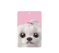 Lovely Maltese Dog Printing 10 Pcs Car Air Fresheners Cards For Scented Hanging Sheets For Bathroom With Rope
