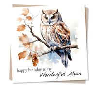 Lovely Owl Birthday Card for Mum - Happy Birthday To My Wonderful Mum - Greetings Wish for Mom, Mother From Son, Daughter - Made in UK