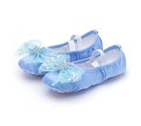 Lovely Princess Dance Soft Soled Ballet Shoe Children Girls Cat Claw Chinese Ballerina Exercises Shoes(Ice Blue,24)