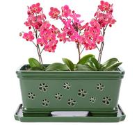 Lovely Ran 12Inch Green Ceramic Orchid Pot with Holes for Repotting and Ventilation - Indoor or Outdoor