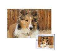 Lovely Sheltie Dog,1000 Pieces Wooden Jigsaw Family Game Jigsaw Puzzles for Adults Teens Home Decor