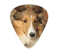 Lovely Sheltie Dog,12 Pcs Guitar Pick,3 Different Thickness Plectrums for Acoustic Guitar Bass Ukulele (0.46mm 0.96mm 0.71mm)