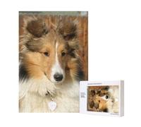 Lovely Sheltie Dog,300 Pieces Wooden Jigsaw Family Game Jigsaw Puzzles for Adults Teens