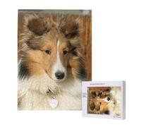 Lovely Sheltie Dog,500 Pieces Wooden Jigsaw Family Game Jigsaw Puzzles for Adults Teens