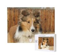 Lovely Sheltie Dog,500 Pieces Wooden Jigsaw Family Game Jigsaw Puzzles for Adults Teens Home Decor