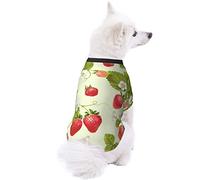 Lovely Strawberry Dog Pet Clothes - Security Printed Pet Sweaters, Coat Winter for Small Medium Large Dogs Cats, Cozy Apparel Casual Fashion Costume, Cute Pet Pullover Sweater.