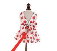 Lovely Strawberry Print Pet Dress Harnesses Holiday Washable Pet Costume With Bowknot And Matching Leashes