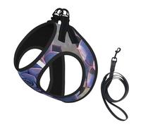 Lovely Succulent Print Harness Leash Set For Cat Dog, Reflective Adjustable Escape-Proof Vest Lead With Soft Breathable Mesh, For Small Pets And Kitten Puppy