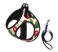 Lovely Sweet red Cherry 2 Print Step in Dog Harness and Leash Set,Adjustable Reflective Harness for Small Dogs Cats