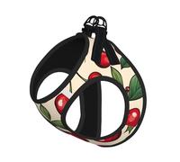 Lovely Sweet red Cherry 2 Print Step in Dog Harness and Leash Set,Adjustable Reflective Harness for Small Dogs Cats
