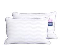 LOVELYREST Pillows Queen Size Set of 2,Luxury Hotel Quality Cooling Pillows with Zipper,Super Soft Down Alternative Fill for Side Back and Stomach Sleepers
